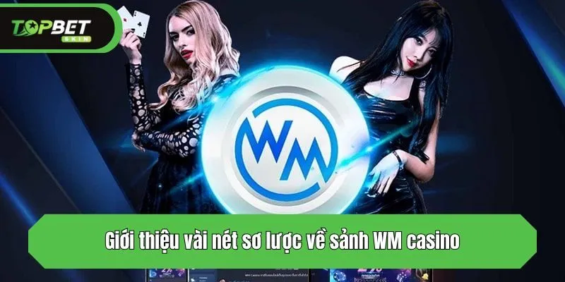 Giới thiệu vài nét sơ lược về  sảnh WM casino