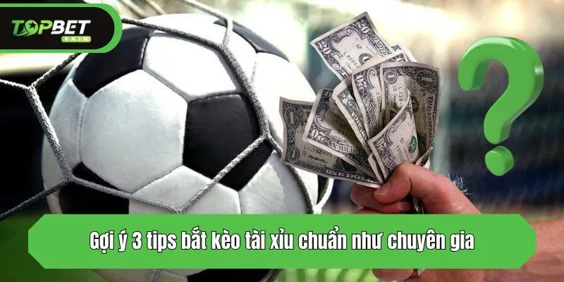 Gợi ý 3 tips bắt kèo tài xỉu chuẩn như chuyên gia