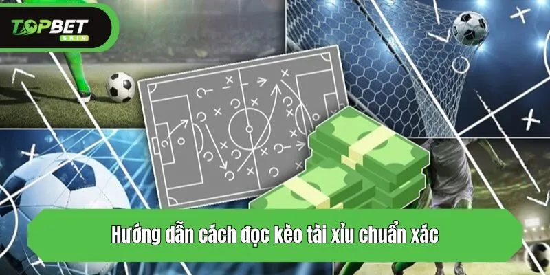 Hướng dẫn cách đọc kèo Over/Under chuẩn xác