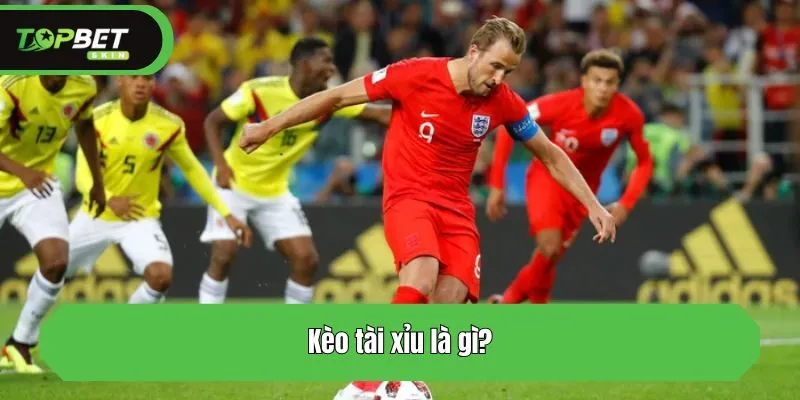 Kèo tài xỉu là gì?