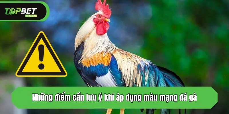 Những điểm cần lưu ý khi áp dụng màu mạng đá gà